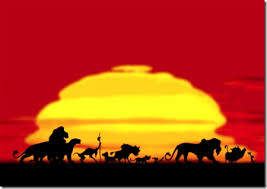 circle of life
