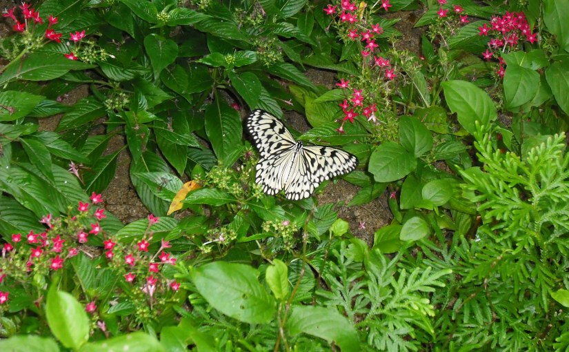 Compassion creates understanding