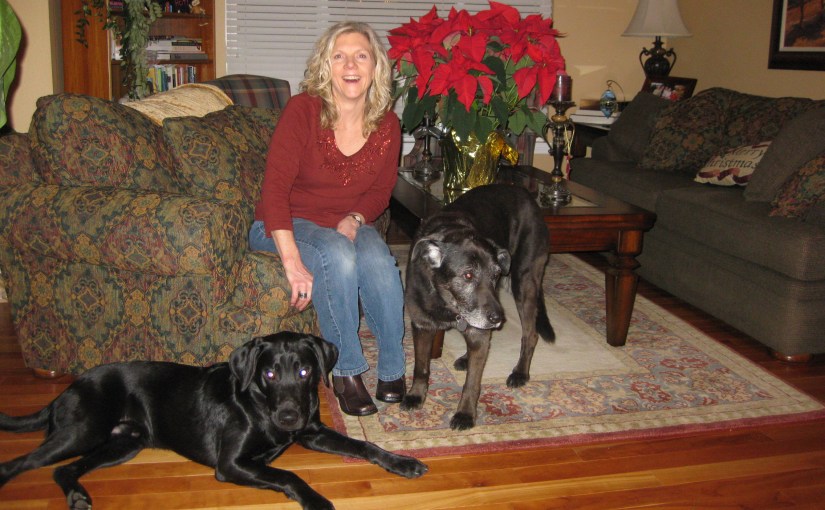 A New Year&nbsp;begins