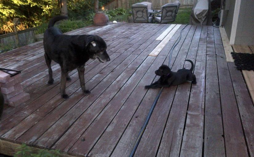 Hello from the other&nbsp;side